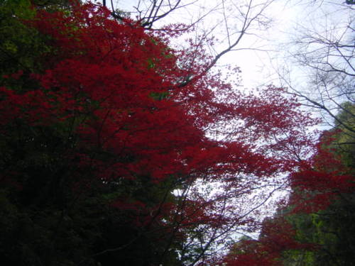 Dsc02444